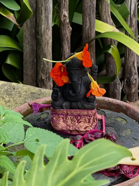 🌏 Sydney's Most Photogenic Spots | Frame-Worthy Magic! 📸