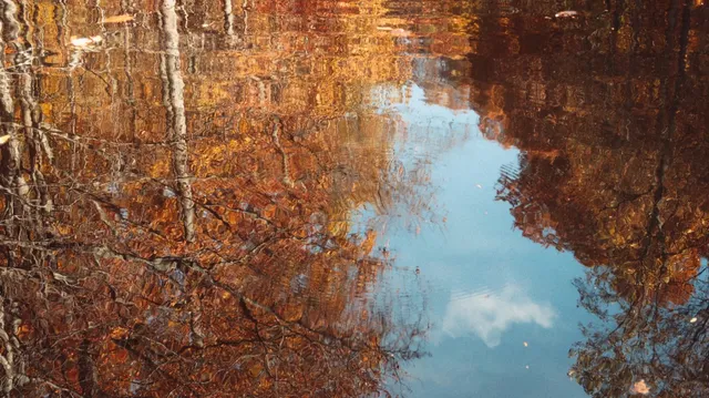 🍂 Amicalola Falls | A Perfect Autumn Escape