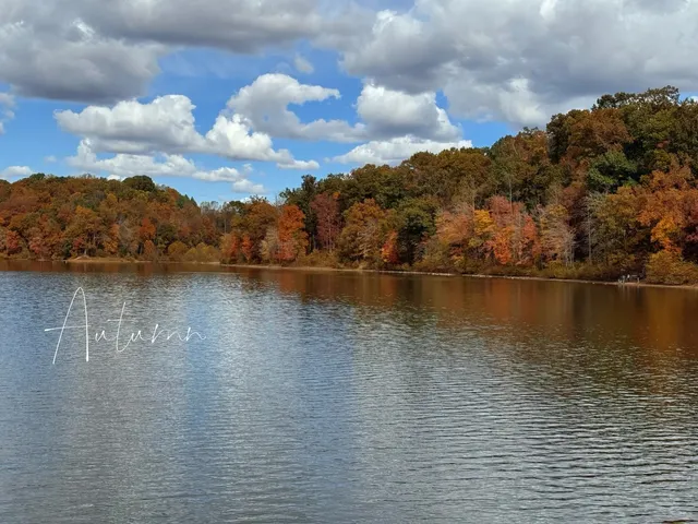 🇺🇸 The Beauty of Late Autumn in DMV 🍂✨