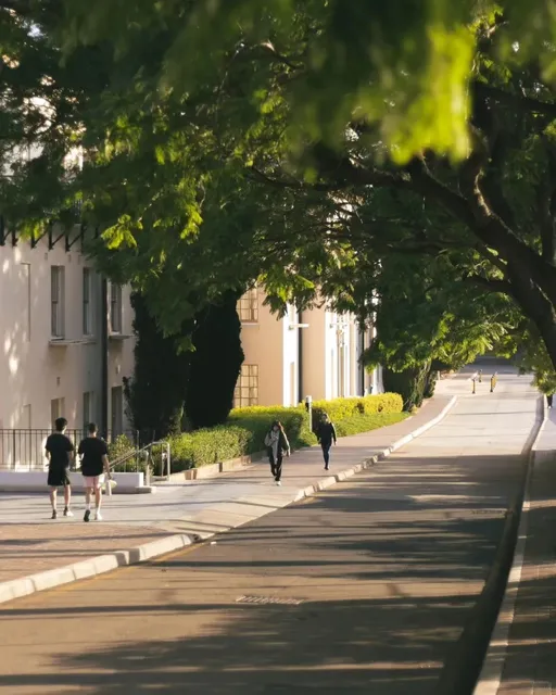 🏛️ The University of Sydney