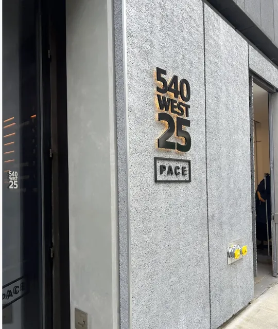 Exploring New York Galleries | PACE GALLERY(1)