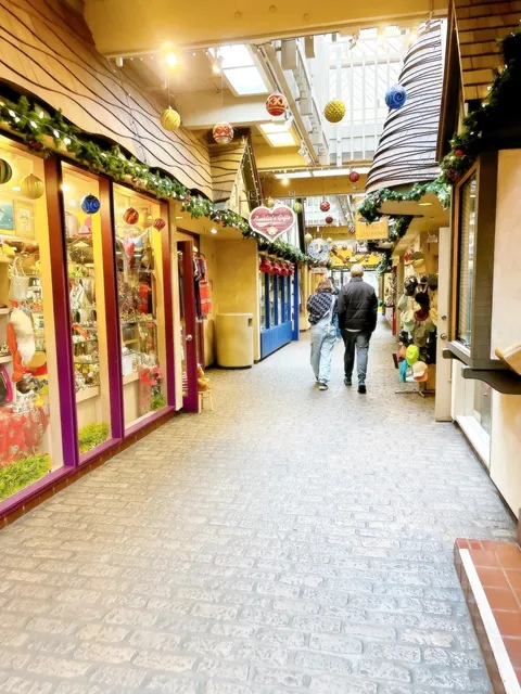 Bay Area Christmas🎄 A Fairytale World in California