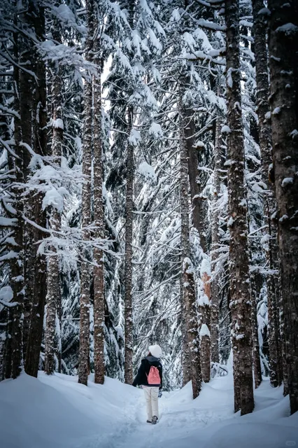 Seattle Surroundings | Winter’s Stunning Snowscape at Franklin Falls
