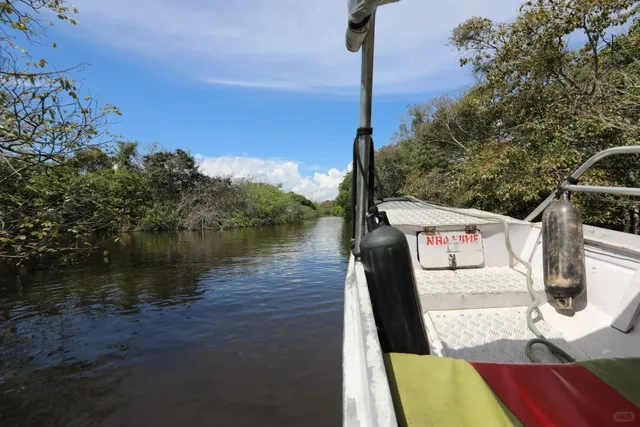 🇧🇷 Manaus – The Capital of the Amazon! 🌿🌎