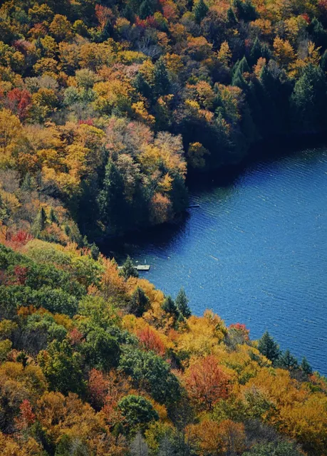 I’ll be a dog if I come back again!