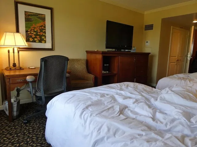 ATL Hotel Gem – Can’t Get Enough! Affordable & Amazing 😱