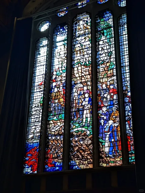 🇳🇿 Christchurch Snapshots | Every Click Tells a Story