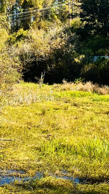 📍 Atlanta’s Hidden Trail | Streams, Forests & Graffiti