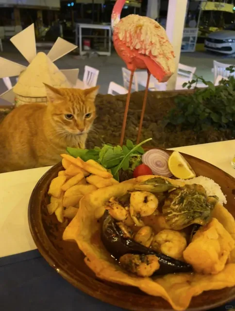 ​​🇹🇷 Must-Try Restaurant in Kaş Town!​​