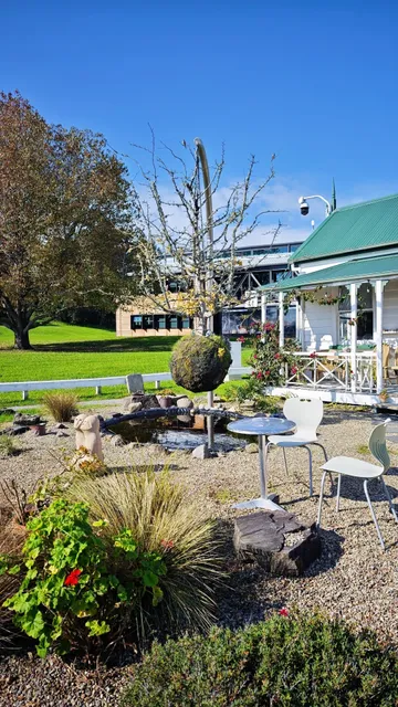 🇳🇿 Tauranga Day Trip 🏝️ No Rush, Just Ocean Breezes & Time