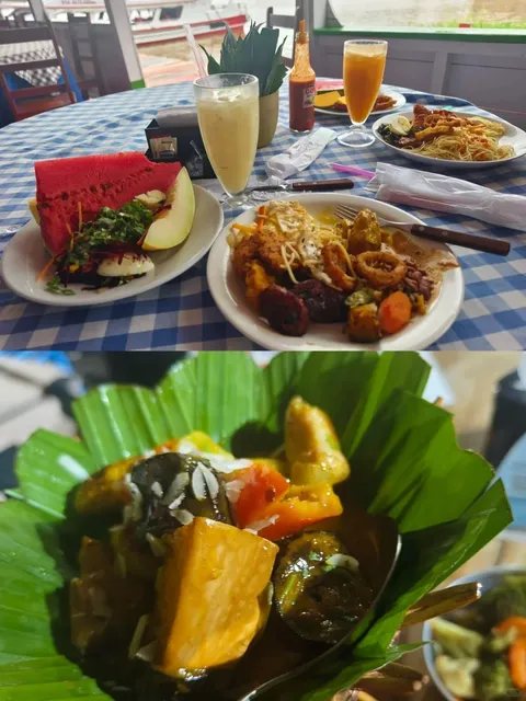 Manaus, Brazil | Amazing Animals of the Amazon Rainforest