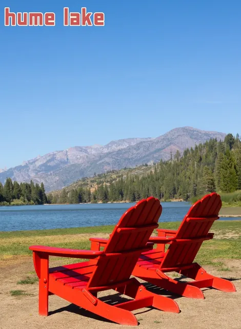 Kings Canyon National Park, Facing Off with a Bear! 🐻💥  