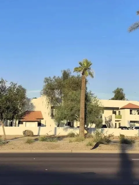 Phoenix in 44°C: My Scorching Adventure 🌡️🌵