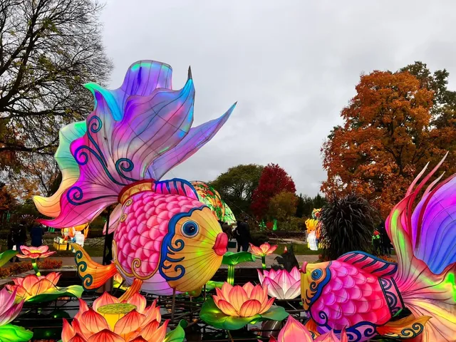 🍁 Too Far to Up North? An Amazing One-Day Wisconsin Fall Foliage Trip