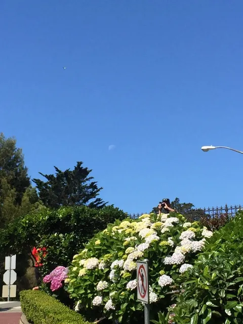 Russian Hill: San Francisco's Romantic Summit 🌉✨