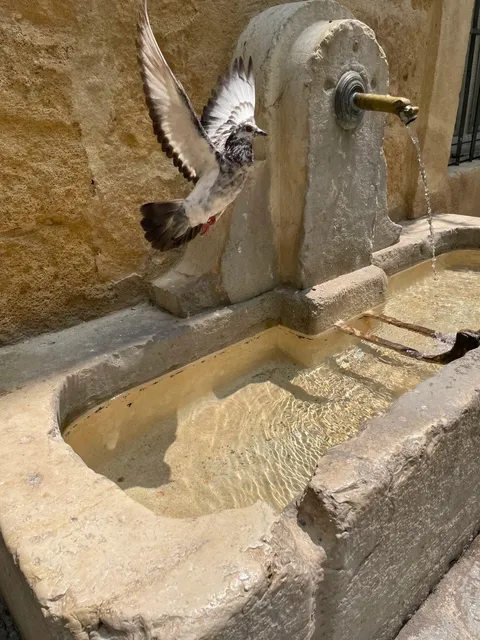 Aix-en-Provence: The City of a Thousand Fountains 🚗💦✨
