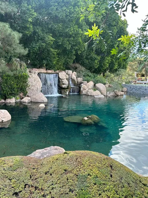 🌸🌿 Japanese Friendship Garden: A Serene Oasis of Harmony 
