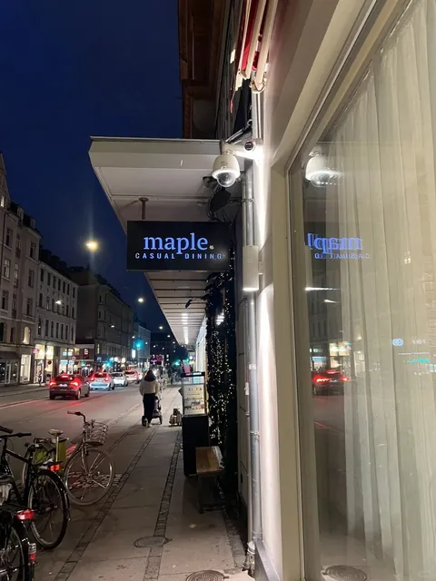 The Best Value for Money I Spent in Copenhagen, Denmark 🇩🇰!