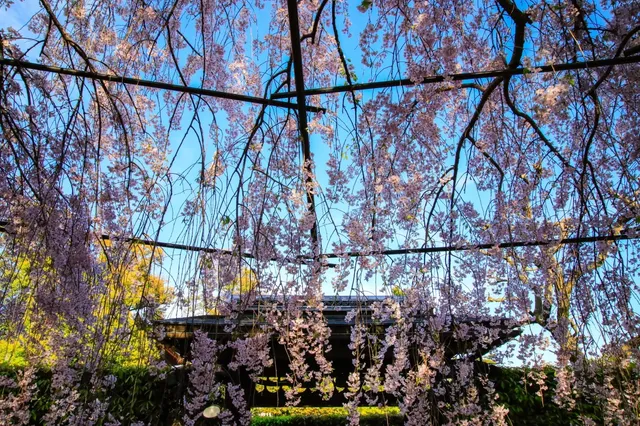 photo-3