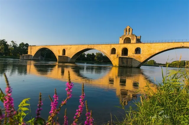 🎭 Avignon: The Dramatic Heart of Provence