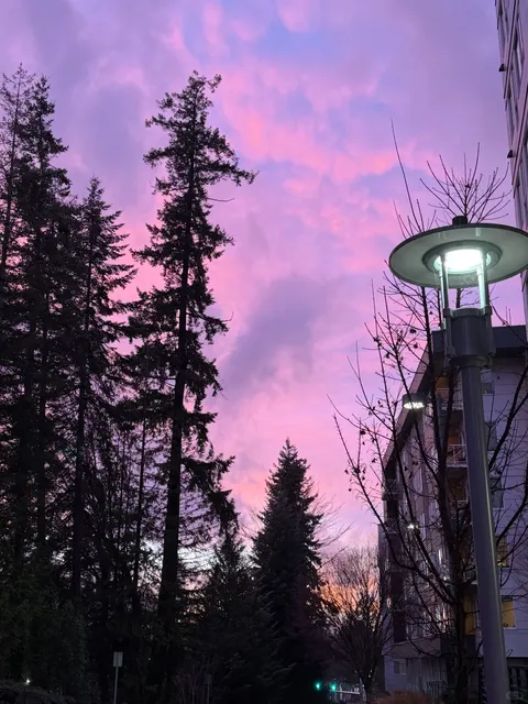 Seattle Rainy Season