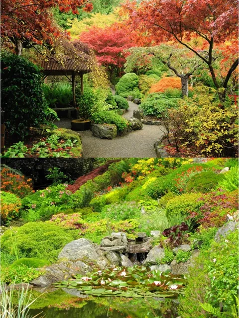 🇨🇦 Victoria Island Travel Guide (Part 2)