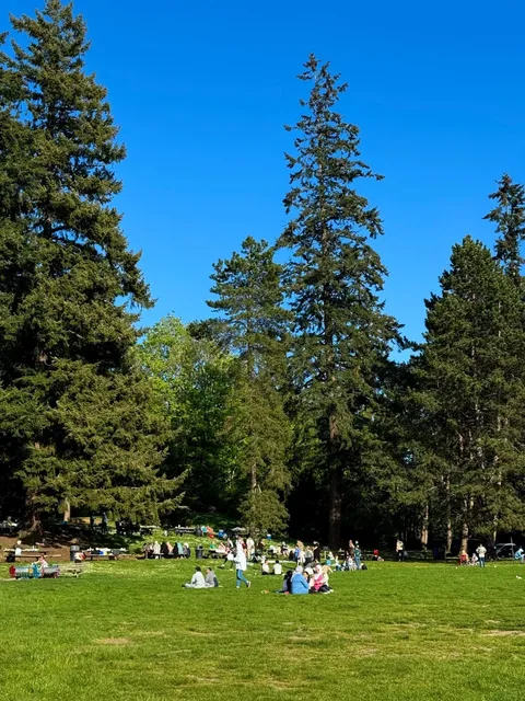 Seattle's Hidden Oceanview Forest