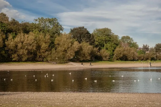 🌿 Edgbaston Reservoir: Birmingham's Secret Oasis.🌿