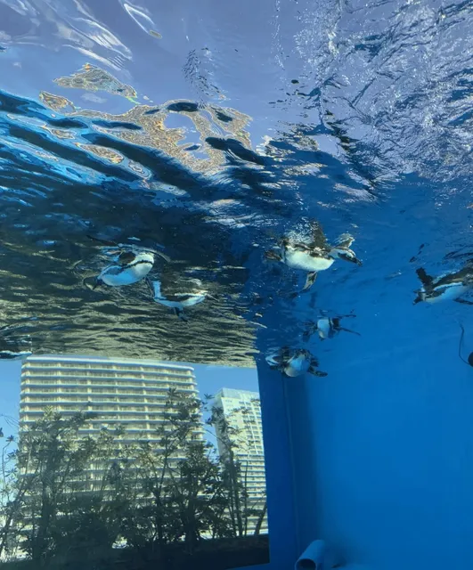 Tokyo Museum and Aquarium Guide 🎨