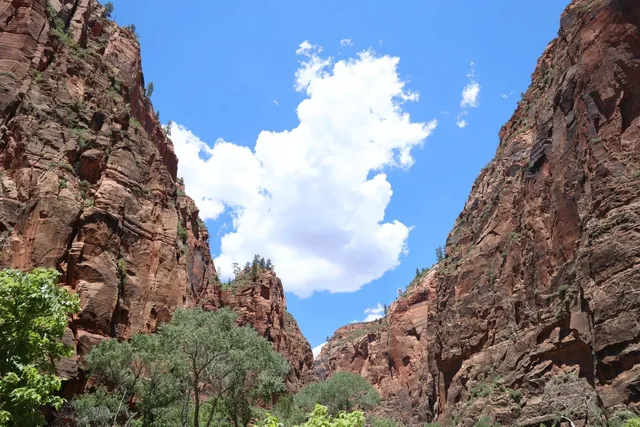 🏞️ Zion National Park: A Hiker’s Paradise near Vegas