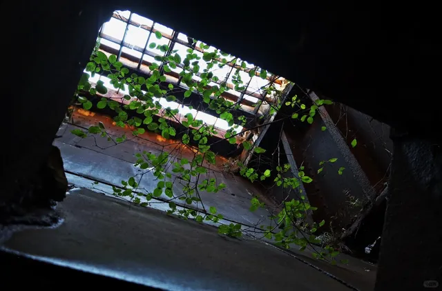 🇺🇸 Pittsburgh’s Steel Legacy: Carrie Blast Furnaces Tour 🏗️🔥