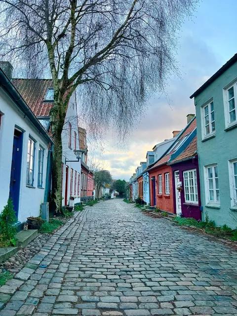 🇩🇰 Feeding Deer in Aarhus, Denmark 🦌