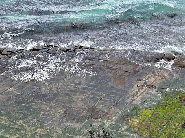 Hobart｜4 Days 3 Nights Car-Free Trip 🧳