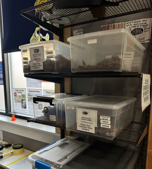 Portland | A Small but Charming Insect Zoo