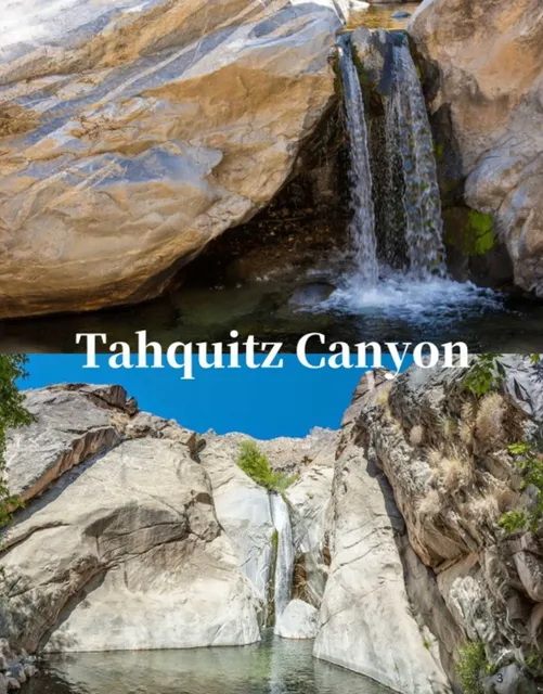 Palm Springs Travel Guide | California's Desert Paradise 🌵☀️  