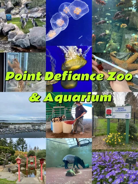 Seattle | Point Defiance Zoo Let’s Catch Jellyfish Together!