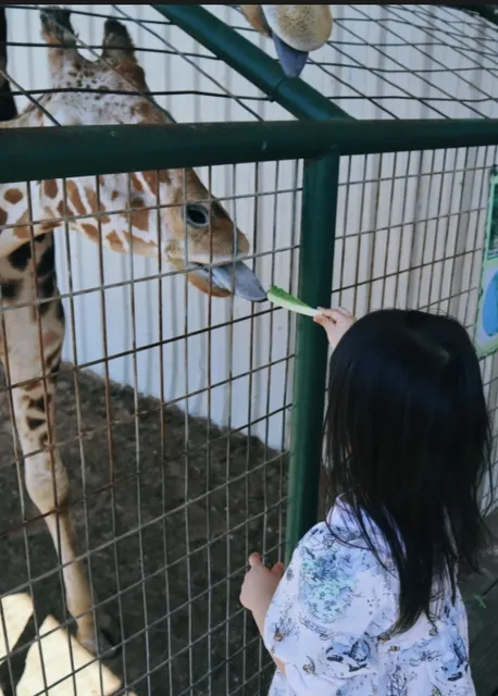 Dallas Family Outing | Zootopia in Real Life