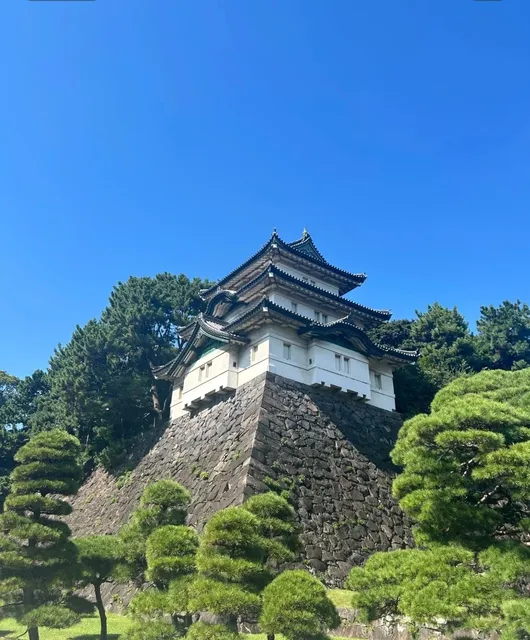 No Need to Visit the Imperial Palace 🏰