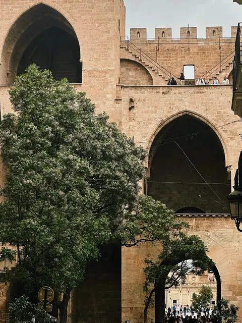 🇪🇸 Valencia’s Old Town: A Chill Wonderland