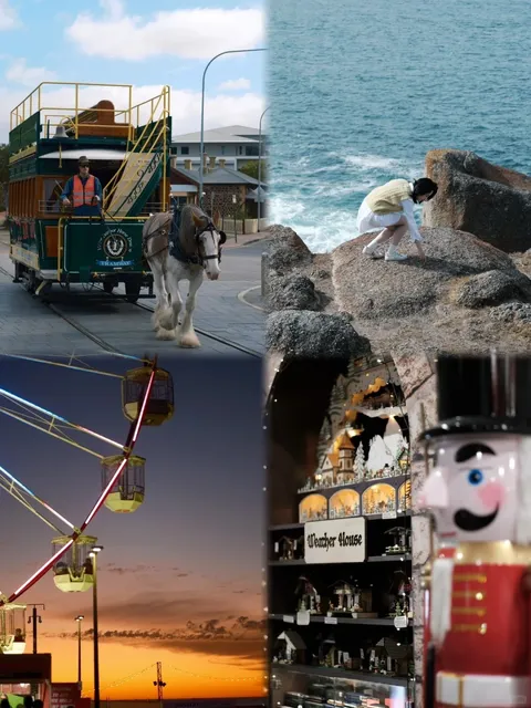  Adelaide Travel Guide 🍁