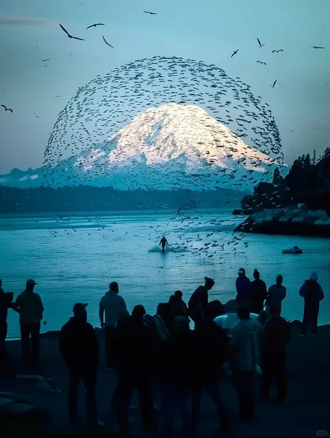 Flying over that sea 🌊