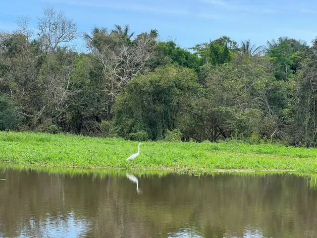 📍 Manaus Amazon Rainforest - Day 1 Adventure