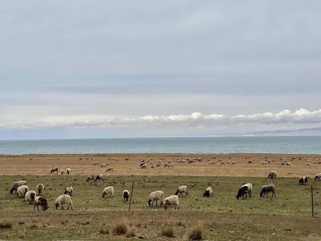 📍Qinghai-Gansu Grand Loop | Riyue Mountain