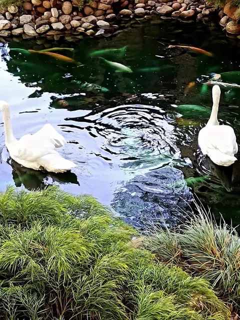 LA Surroundings | Step into a Real-Life Shangri-La 🌳