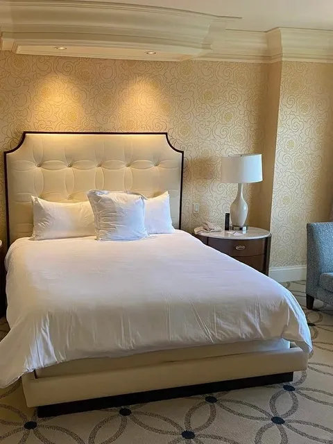 In Las Vegas, Everyone is Obsessed with This Hotel! 🏨✨