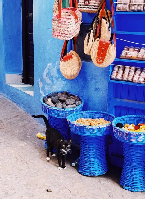 Encounter the Dreamy Blues of a North African Paradise 💙🌍（2）