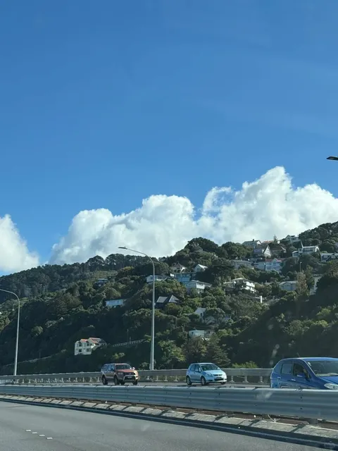 Wellington Citywalk Guide 📔 (With Tips!)