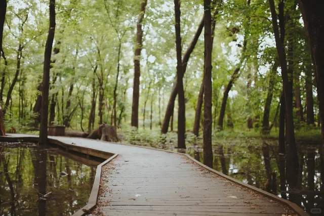 🌿 20 Hidden Gems in Indianapolis – Underrated & Less Crowded!