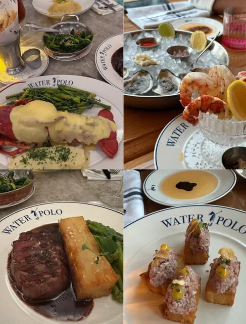 🦞 Halifax’s Lively Seafood Star – Water Polo Review!  