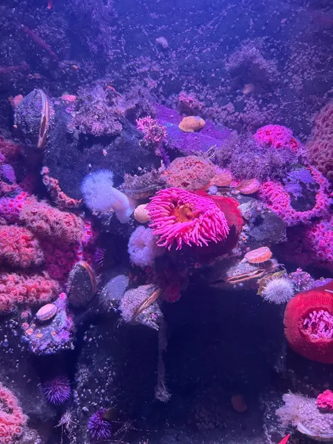 🌳🐾 A Perfect Day in Tacoma: Zoo + Japanese Garden 🎋